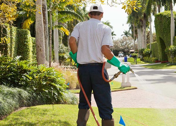 About Wirt MN Pest Control